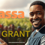 Sassa grants